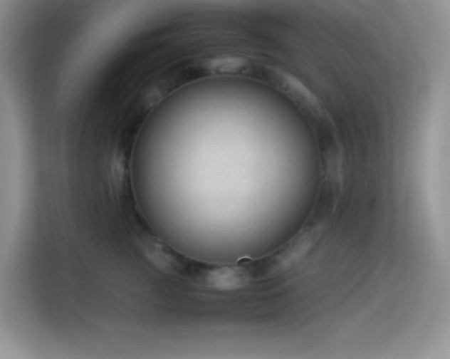 X0000114090761200910051425