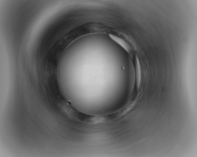 X0000114090762200910051425