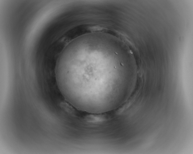 X0000114090763200910051425