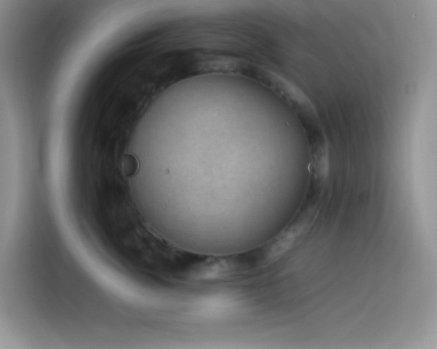 X0000114090764200910051425