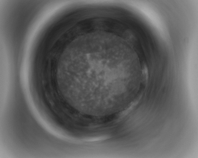X0000114090765200910051425