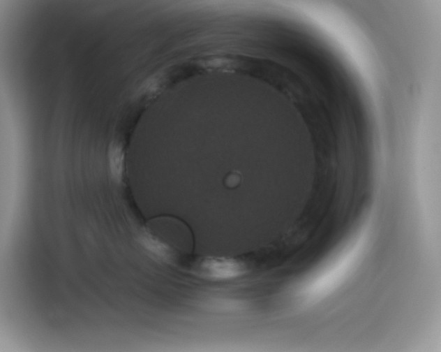 X0000114090767200910051425