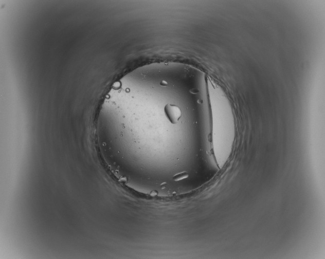 X0000114090769200910051424