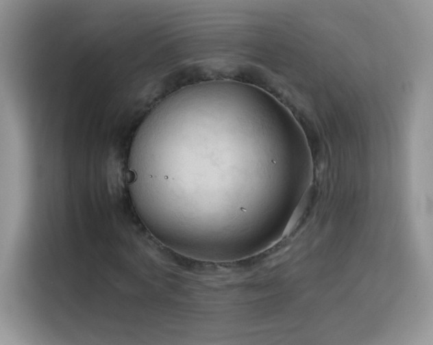 X0000114090772200910051424