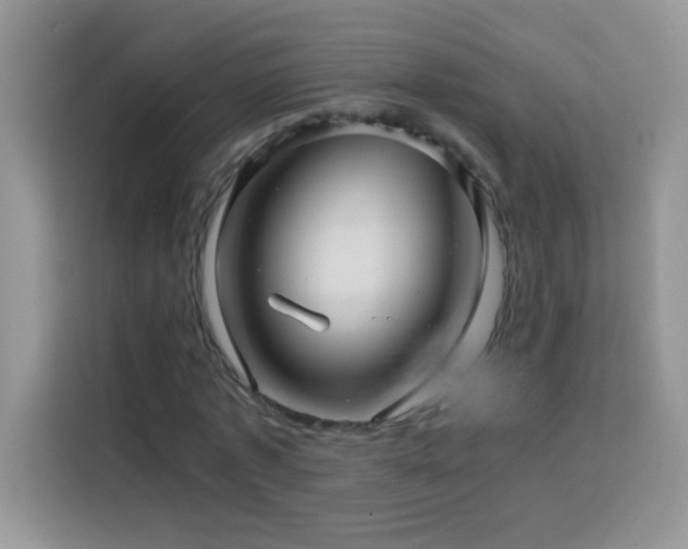 X0000114090773200910051424