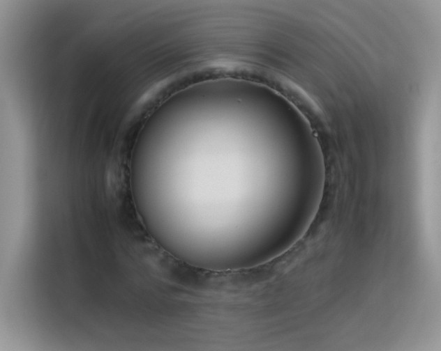 X0000114090776200910051424