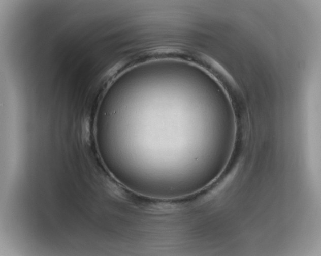 X0000114090777200910051424