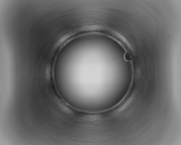 X0000114090778200910051424