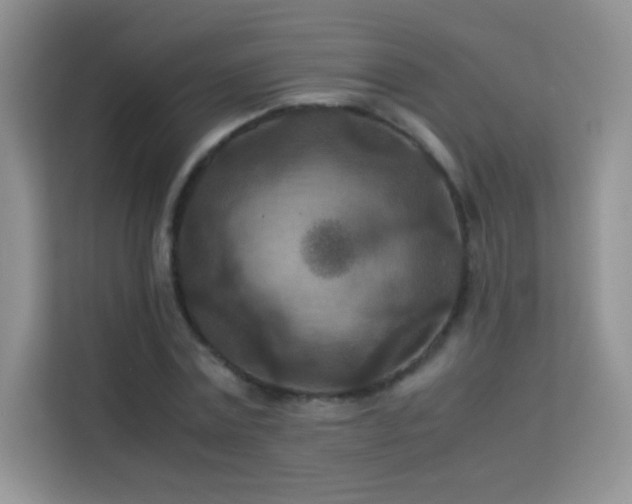 X0000114090779200910051424