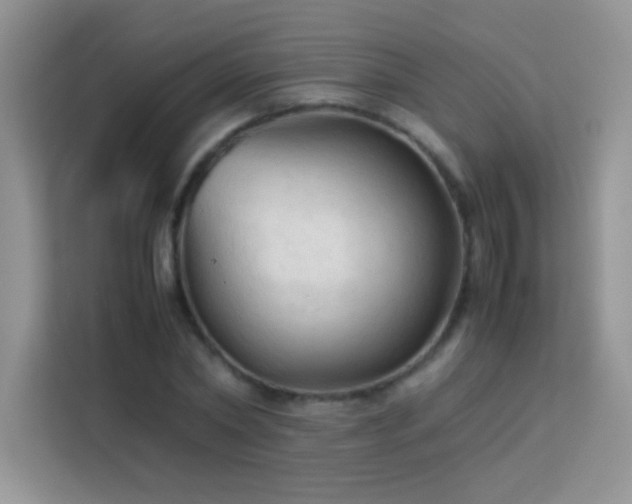 X0000114090782200910051424