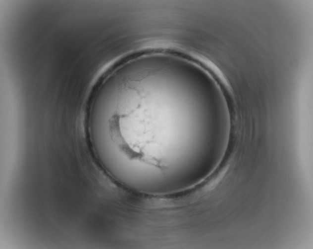 X0000114090783200910051424