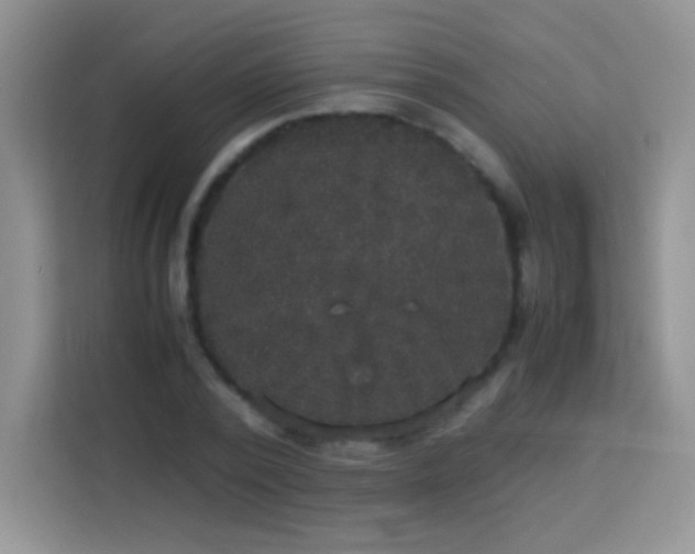 X0000114090784200910051424