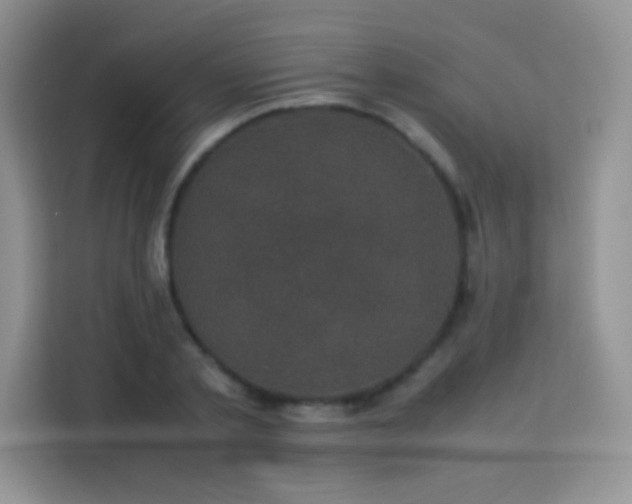 X0000114090789200910051424