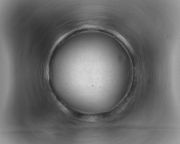 X0000114090791200910051424