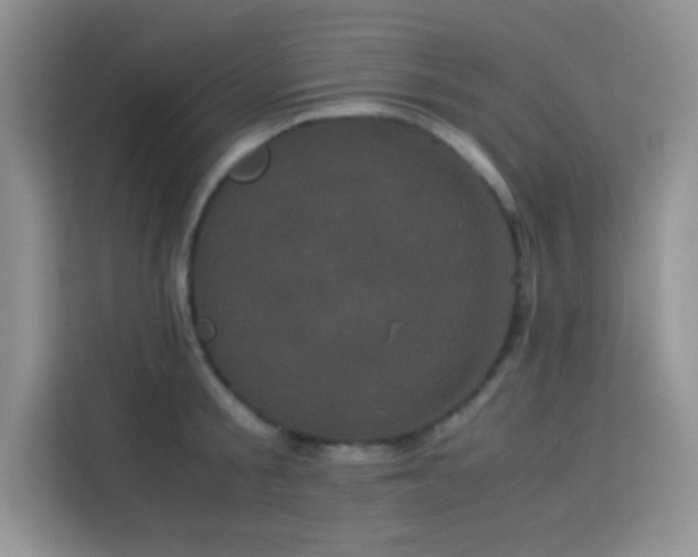 X0000114090805200910051424