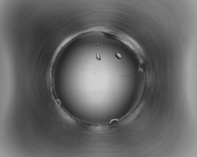 X0000114090808200910051424