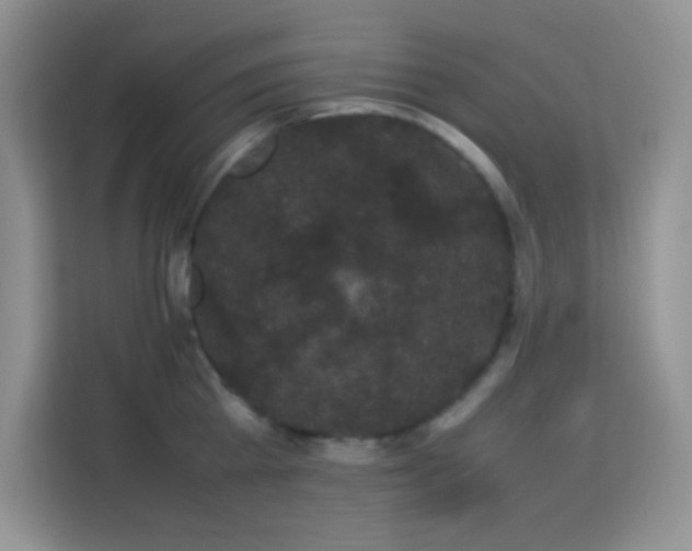 X0000114090809200910051424