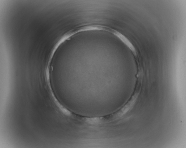 X0000114090813200910051424