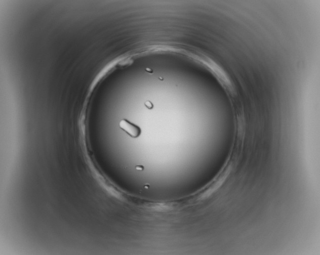 X0000114090814200910051424
