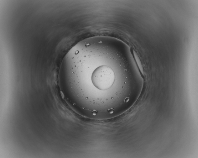 X0000114090820200910051423