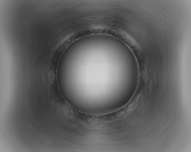 X0000114090821200910051423