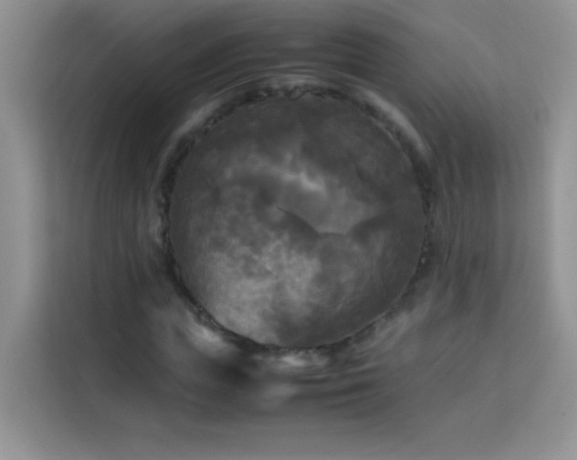 X0000114090823200910051423