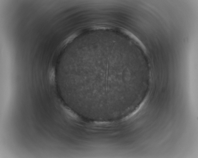 X0000114090825200910051423