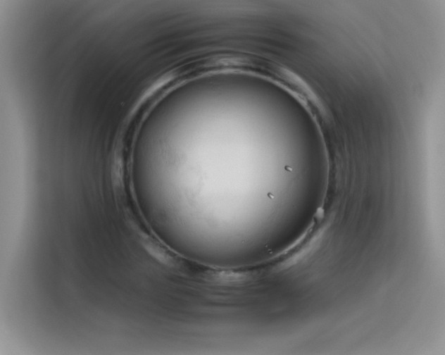 X0000114090827200910051423