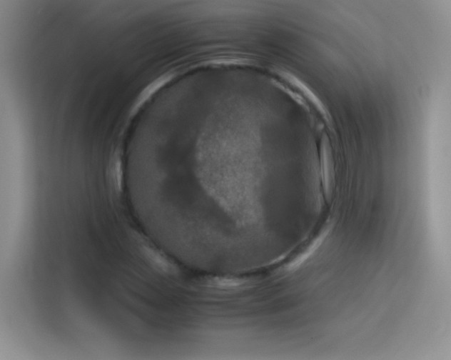 X0000114090829200910051423