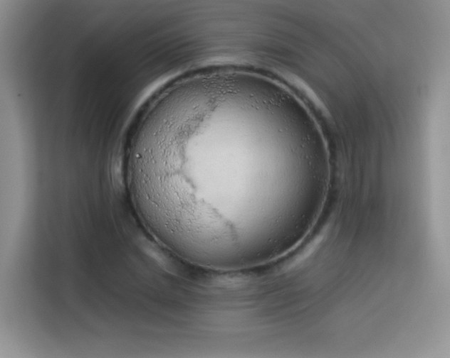 X0000114090830200910051423
