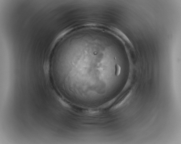 X0000114090831200910051423