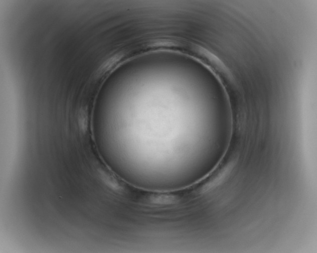 X0000114090833200910051423