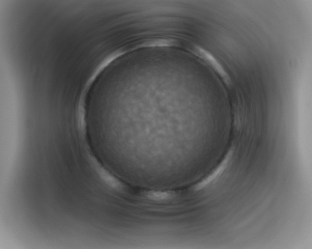 X0000114090835200910051423