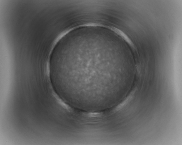 X0000114090839200910051423