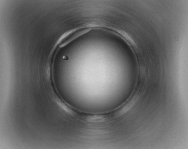 X0000114090846200910051423