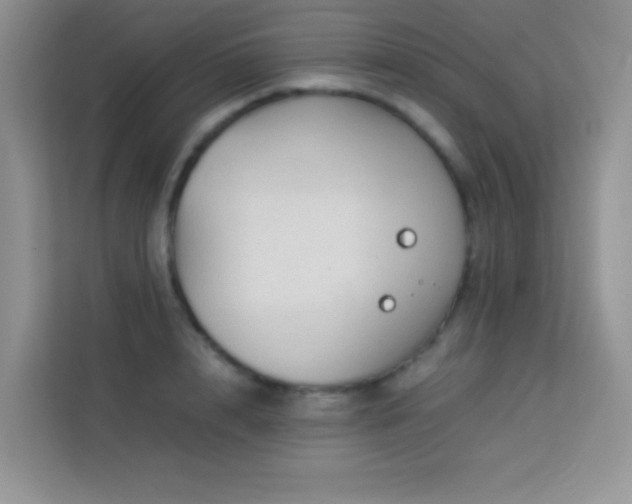 X0000114090848200910051423