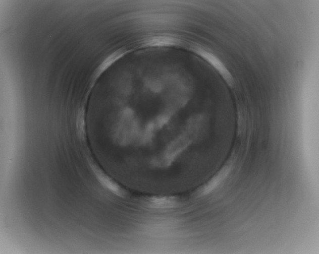 X0000114090850200910051423