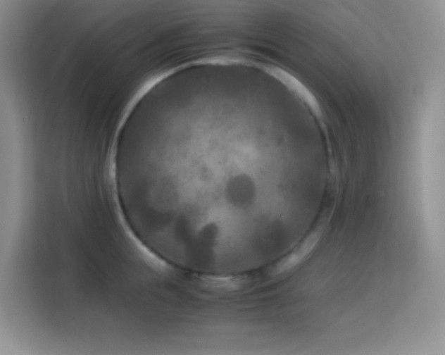 X0000114090855200910051424