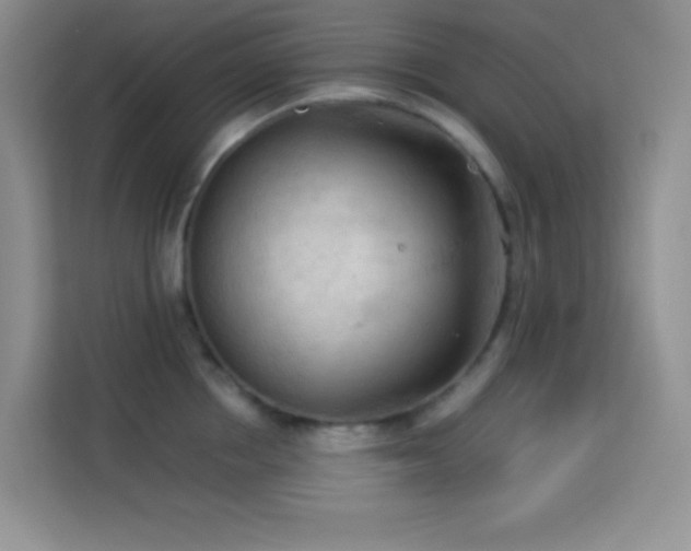 X0000114090858200910051424