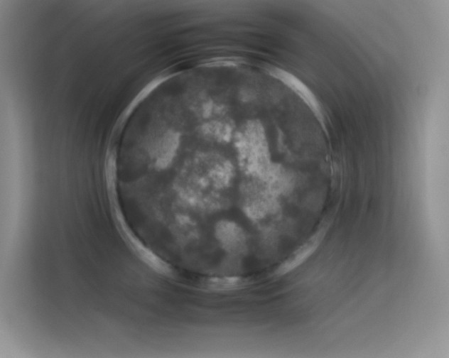 X0000114090859200910051424