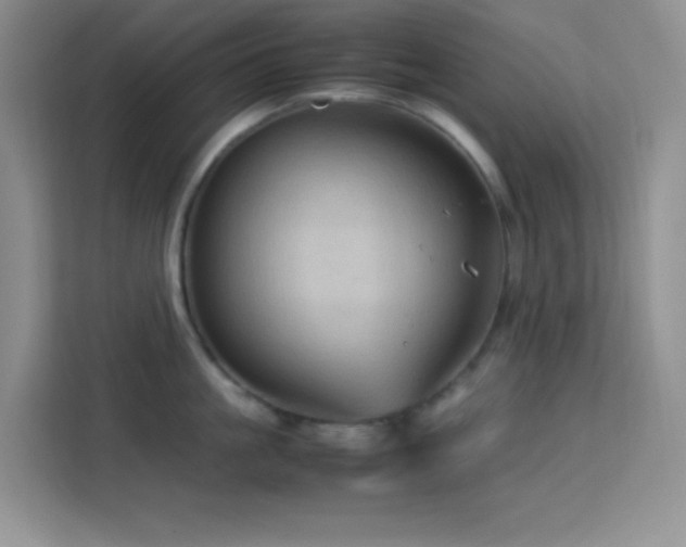 X0000114090861200910051424