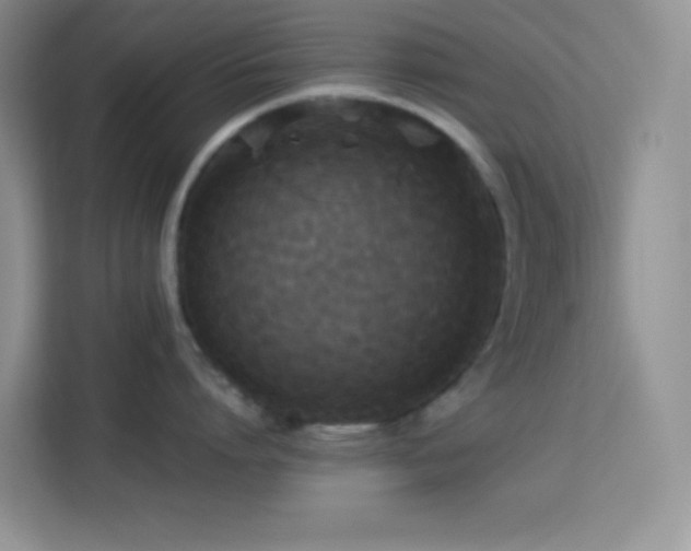 X0000114090864200910051424