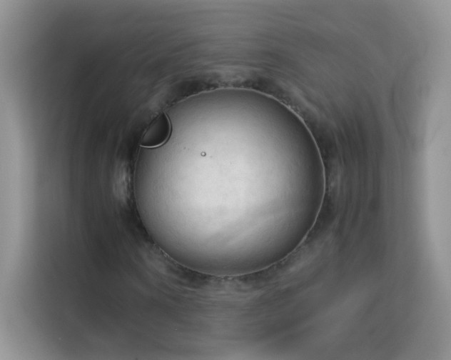 X0000114090866200910051423