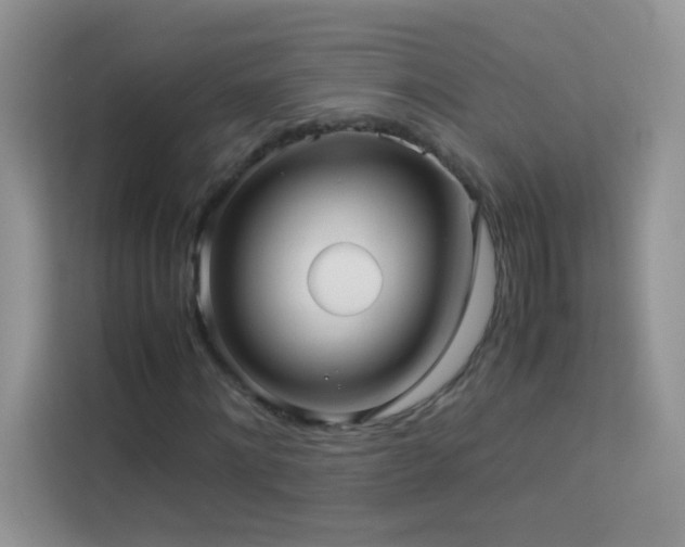 X0000114090868200910051423