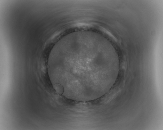 X0000114090869200910051423