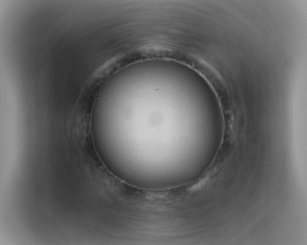 X0000114090870200910051423