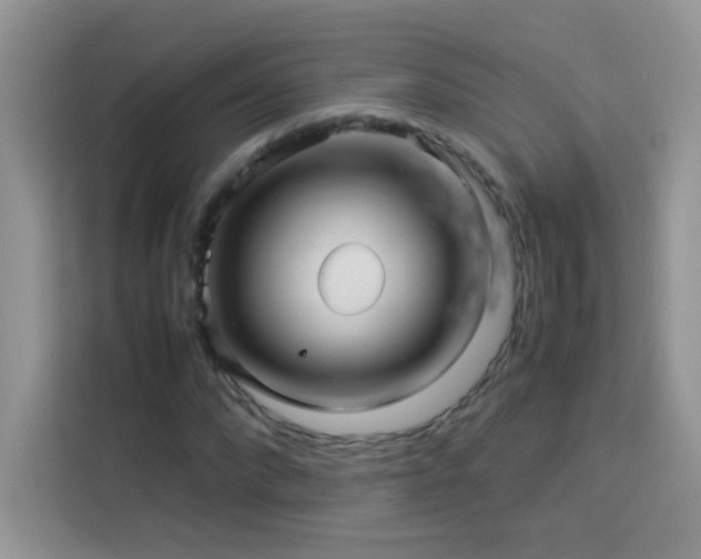 X0000114090872200910051423