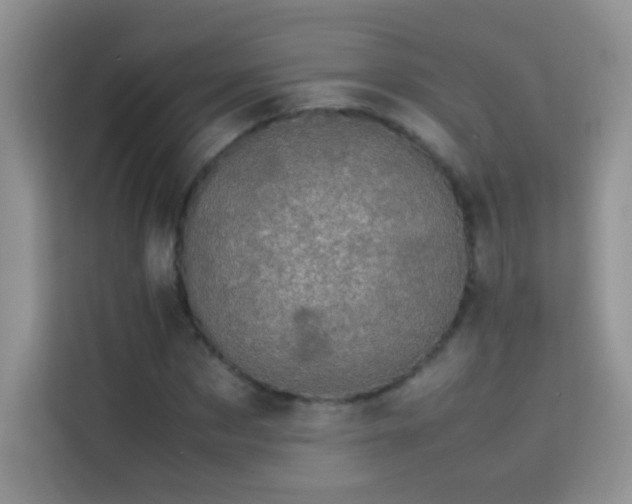 X0000114090873200910051423