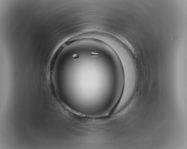 X0000114090877200910051423