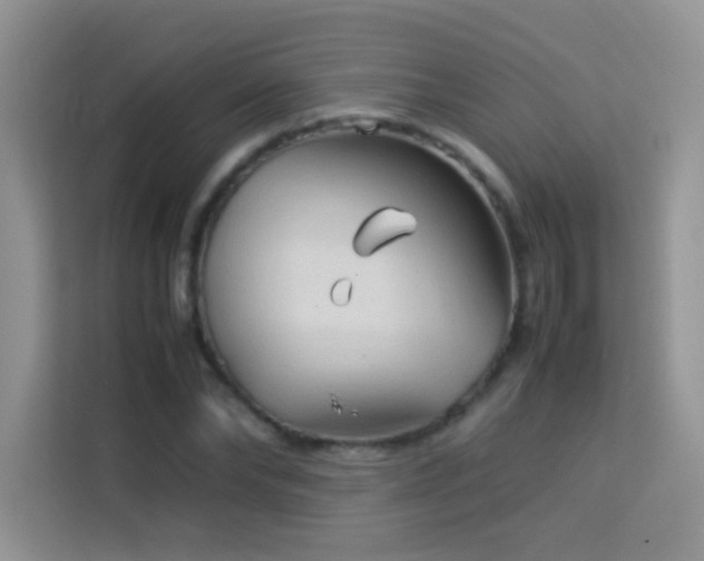 X0000114090878200910051423